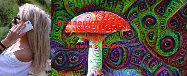 spice Володарск