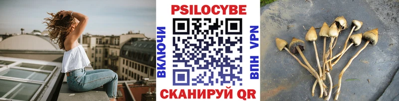 где купить наркотик  Плёс  Галлюциногенные грибы Cubensis 
